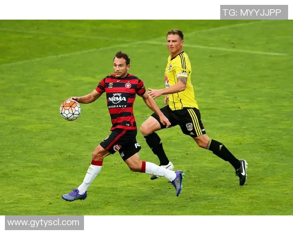 威灵顿凤凰主场迎战墨尔本球队争夺胜利的精彩对决